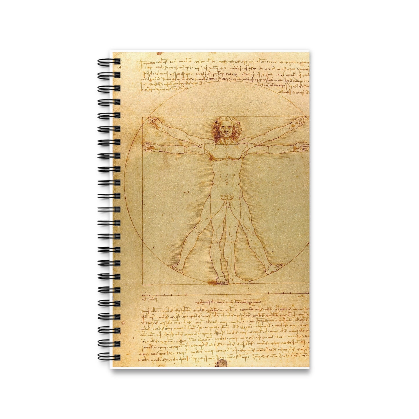 Notatbok VITRUVISKE MANN Leonardo da Vinci