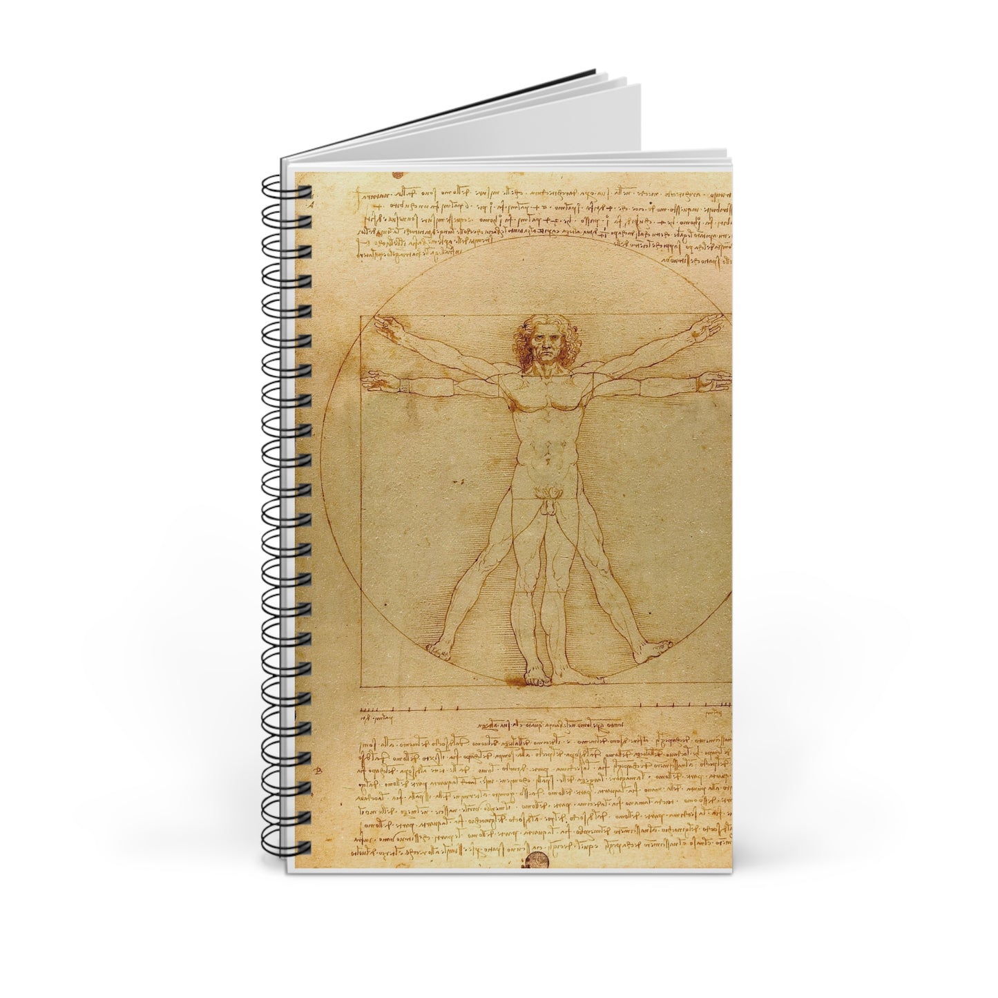 Notatbok VITRUVISKE MANN Leonardo da Vinci